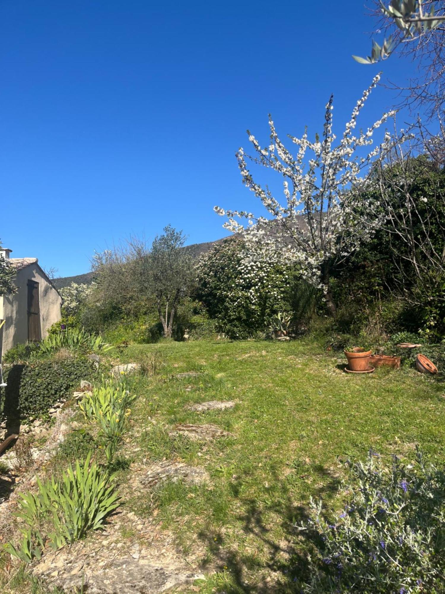 Cabanon Entoure De Montagnes Et D'Oliviers Nyons Exterior foto